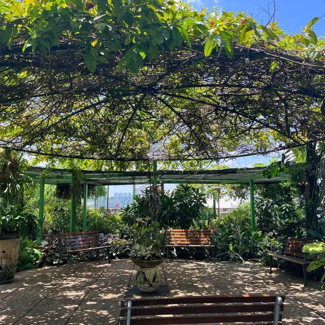🇲🇾Secret Garden 1 Utama: A Green Paradise Above the City