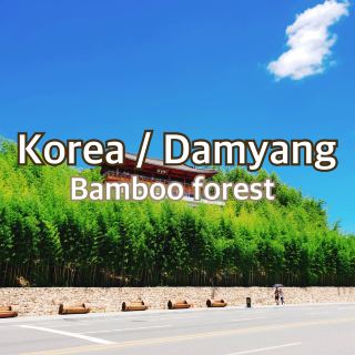 【韓國/潭陽】在竹林中療癒身心！讓負離子使您煥然一新