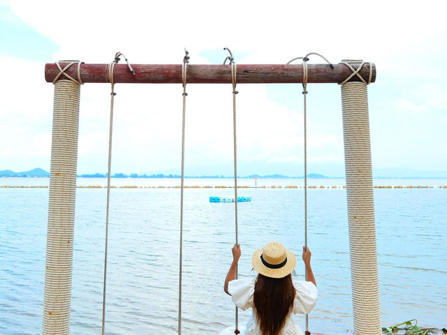 ที่พักติดทะเลวิวสวยมีป่าโกงกาง