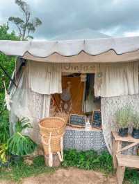 JINJU the orange farm สวนส้มเชียงใหม่ฟีลเกาหลี