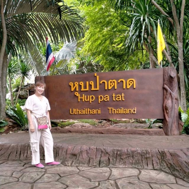 หุบป่าตาด   