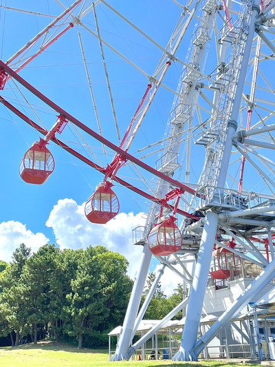葛西臨海公園/東京都】ひまわり咲き乱れる | Trip.com 東京