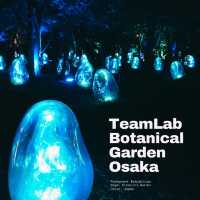 ไปดู Digiata Art สุดเท่ที่ teamLab Osaka กัน