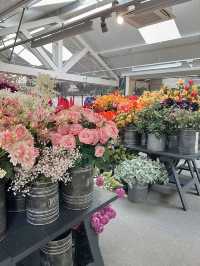 英國米爾頓凱恩斯週末好去處-Frosts Garden Centre
