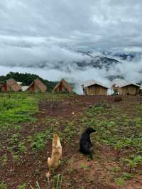 ห้วยกุ๊บกั๊บ | ฤดูฝน 🏡⛰️🌧️🌿