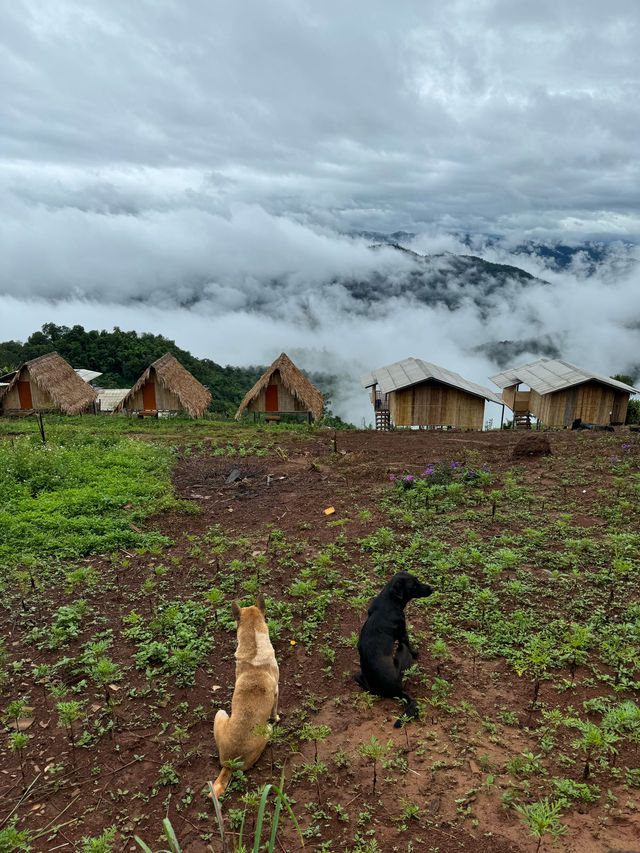 ห้วยกุ๊บกั๊บ | ฤดูฝน 🏡⛰️🌧️🌿