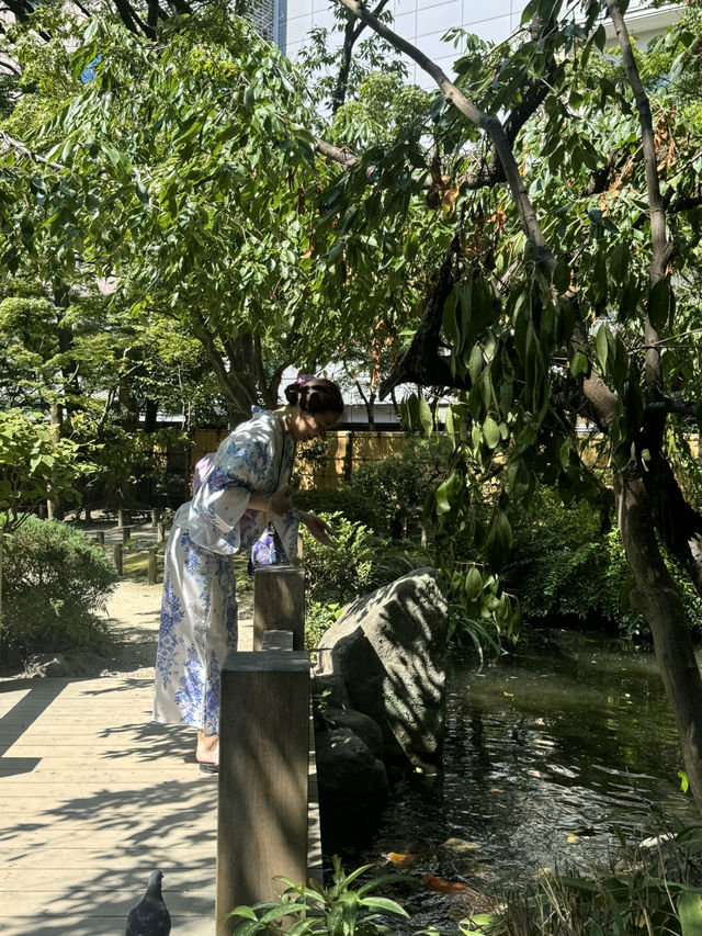 후쿠오카 도심속 낙원같은 정원🪴라쿠스이엔