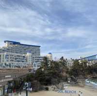 국내 여행 동해안 리조트 추천
