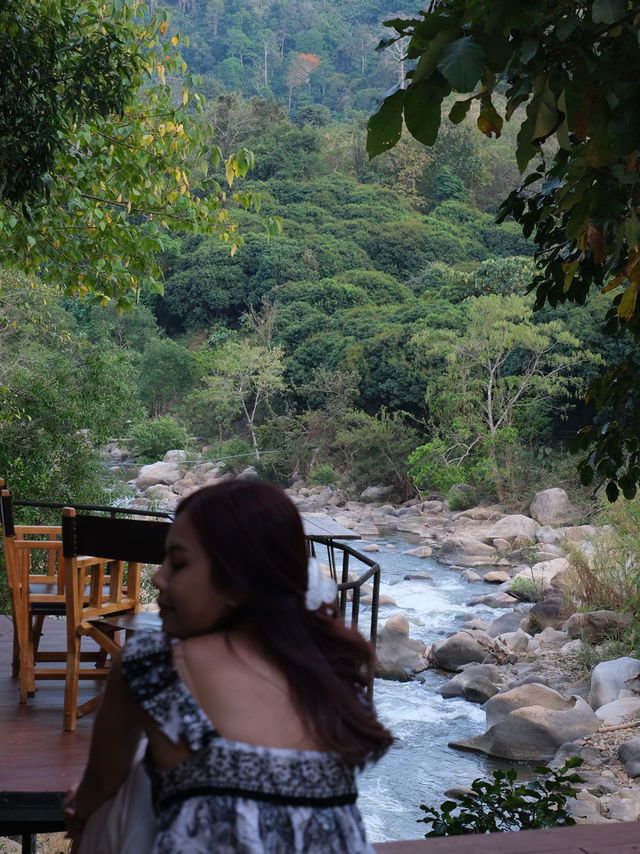 ร้านอร่อย กลางป่า Staywild & Cafe 🕊️