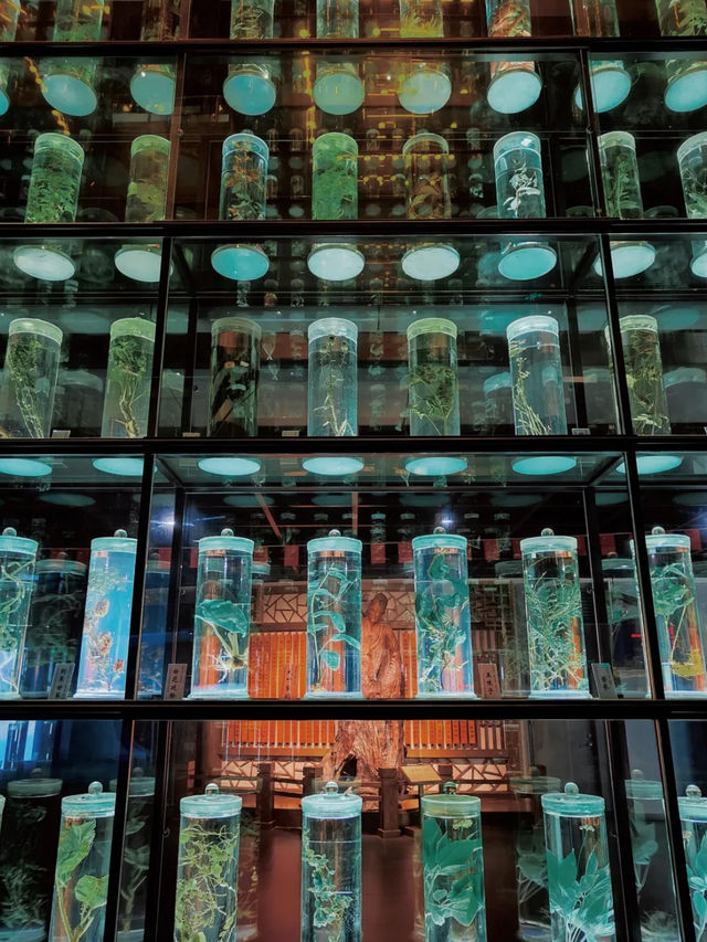 廣東中醫藥博物館