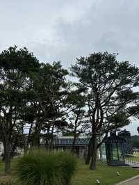 가족들과 함께 가기 좋은 전주 국립역사박물관🧡