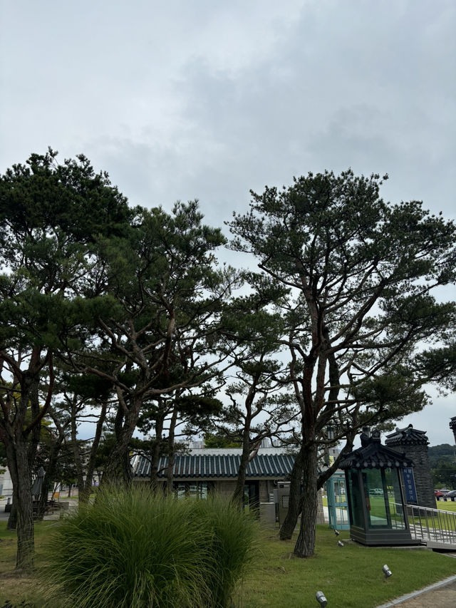 가족들과 함께 가기 좋은 전주 국립역사박물관🧡