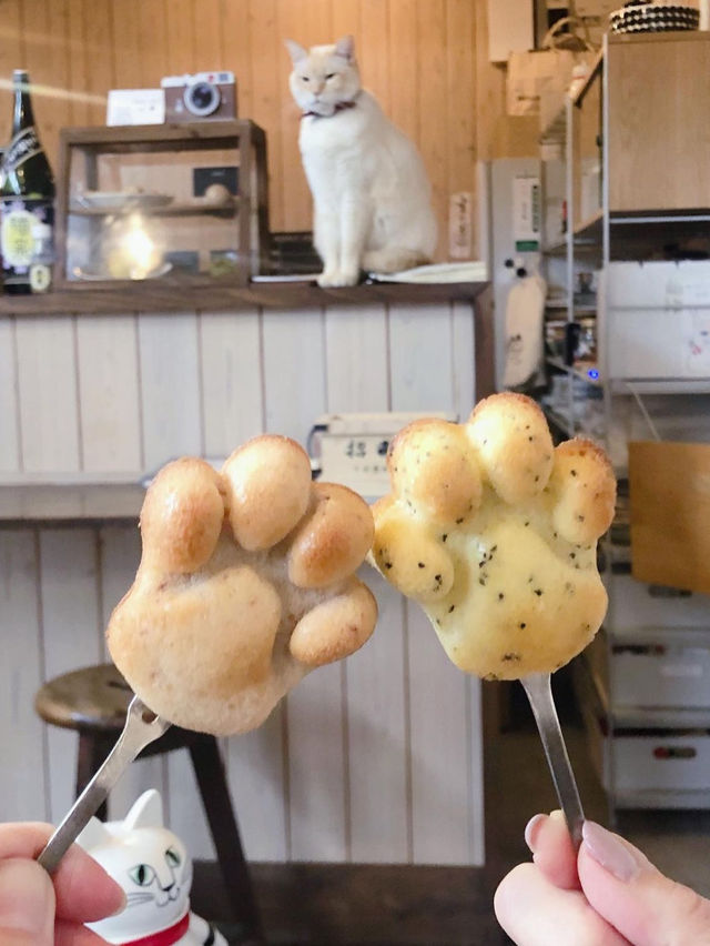 【福岡カフェ】