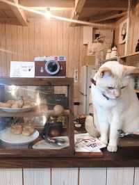 【福岡カフェ】