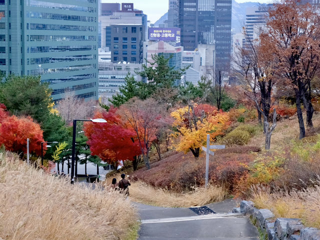 Namsan Mountain Park สวนสาธารณะวิว N Seoul tower สถานที่ชมใบไม้เปลี่ยนสีสุดปัง!