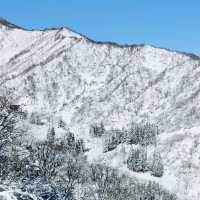  ❄️ 白色天堂：樂天新井度假村