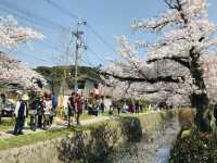 【京都/左京区】金閣寺と合わせて行きたい銀閣寺