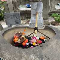うさぎの絵馬が可愛すぎる🐰神社⛩️