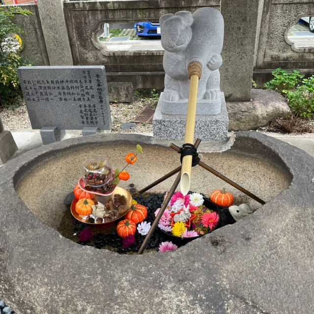 うさぎの絵馬が可愛すぎる🐰神社⛩️
