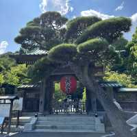鐮倉 。必去