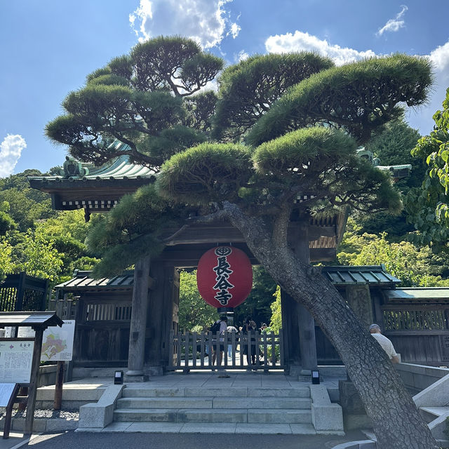 鐮倉 。必去