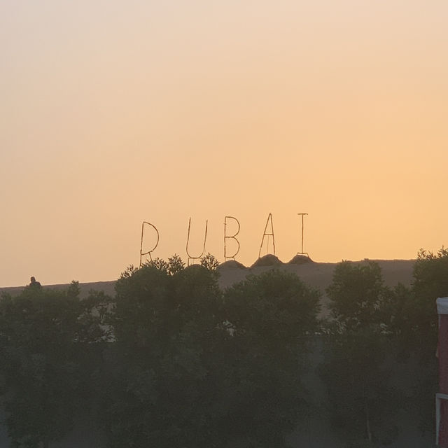 From Sand to Sunset: Dubai Desert Safari Goals