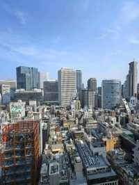 算抵住的高級商務型 - ANA大阪皇冠假日酒店