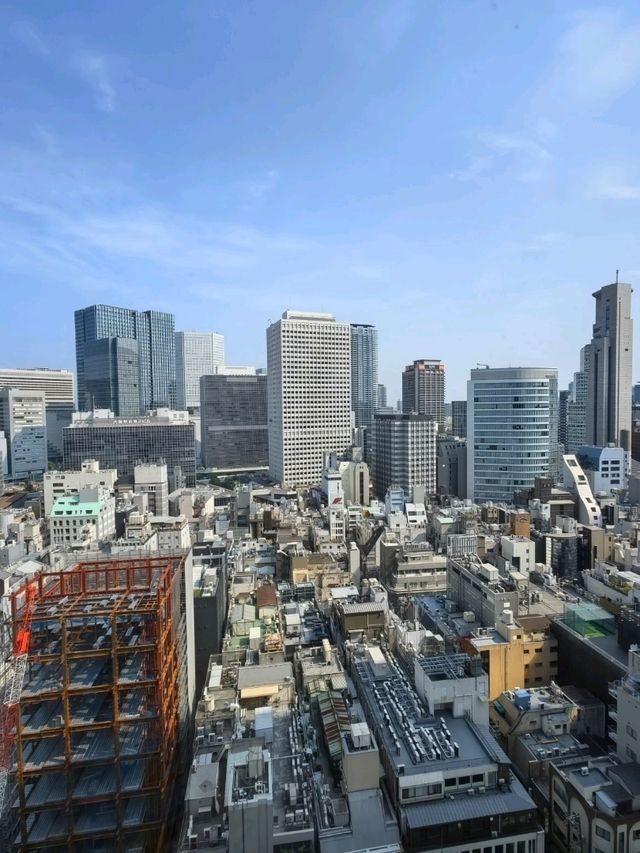 算抵住的高級商務型 - ANA大阪皇冠假日酒店
