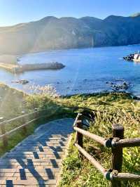 【北海道絶景スポット】礼文島澄海岬✨