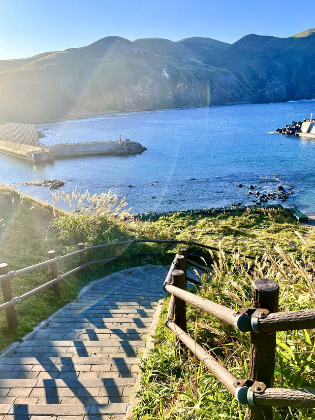 【北海道絶景スポット】礼文島澄海岬✨