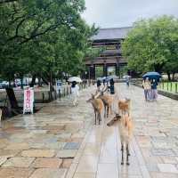 東大寺