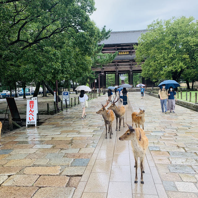 東大寺