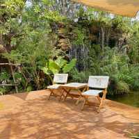 ใกล้บ้าน • In The Garden ~ คาเฟ่ในสวน