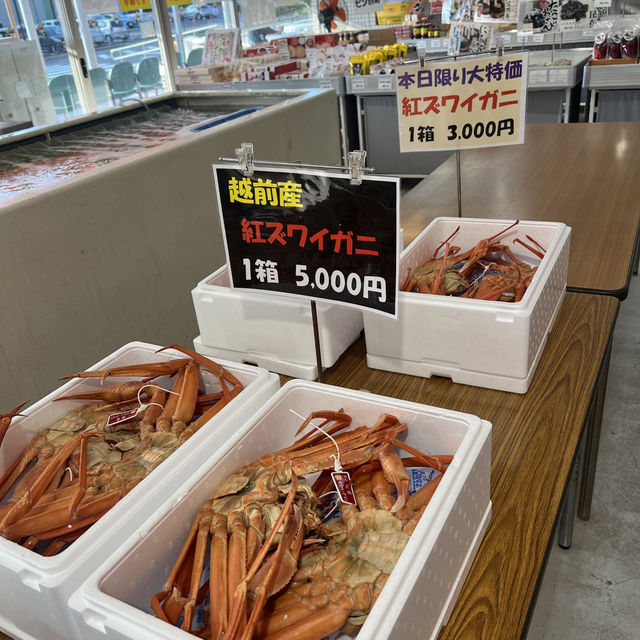 福井縣出名的螃蟹