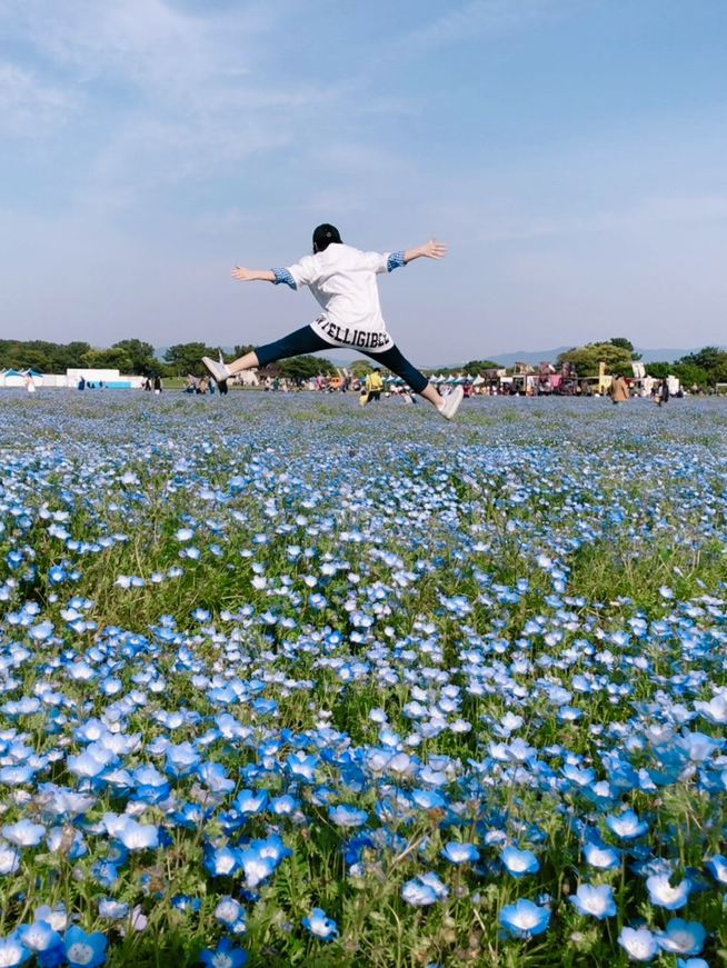 福岡】ネモフィラ畑が広がる海の中道海浜公園🩵 | Trip.com 福岡