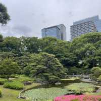 Tokyo Wonders: Explore Iconic Sights, Culture, and Culinary Delights