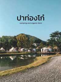 🛶⛺️ Weekend นี้อยากชวนไปแคมป์ปิ้งที่ ปาท่องโก๋ 