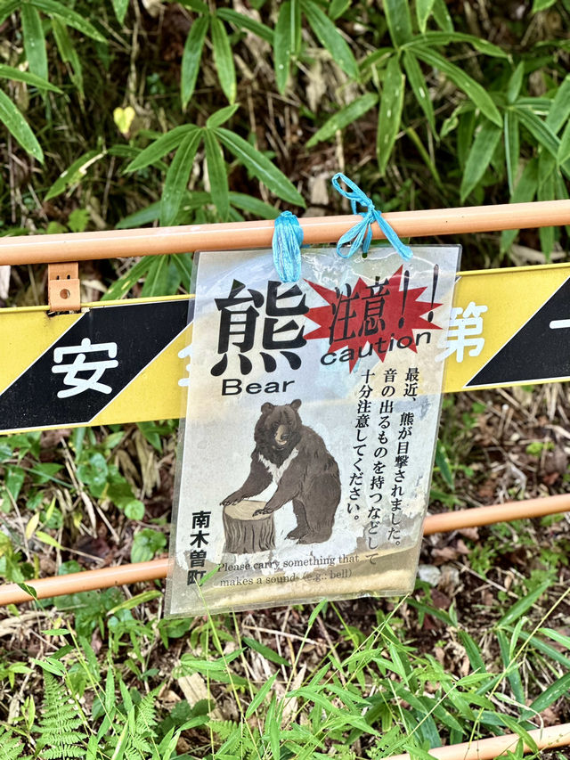 the Historic Nakasendo Trail 🥾