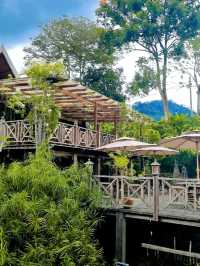 BREAKFAST IN NATURE : THE LEMUNI