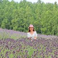 Japan’s Northern Jewel- Hokkaido 