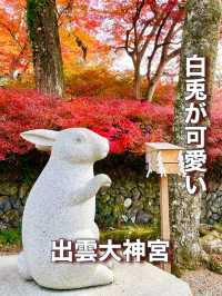 【京都府】白兎が可愛い