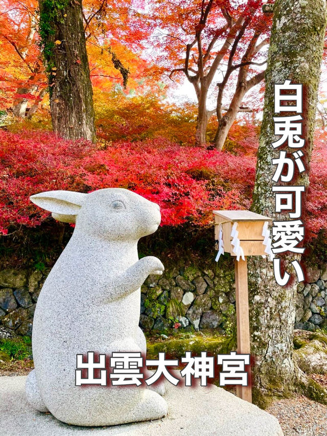 【京都府】白兎が可愛い