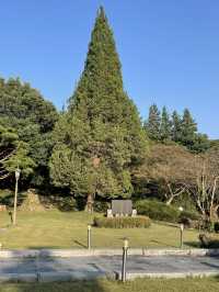 완주 대형정원이 있는 대형카페 그라운드소요 🌲