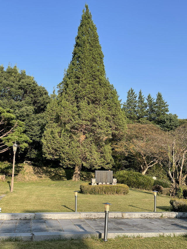 완주 대형정원이 있는 대형카페 그라운드소요 🌲
