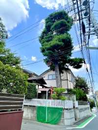 【東京都】もとは、松平薩摩守の邸内社