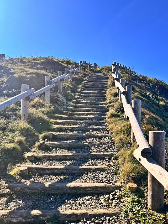 【北海道礼文島】最北限の地スコトン岬✨