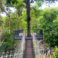 กิจกรรมสุดอลังการ เดอะจังเกิ้ล โป่งแยง (The Jungle