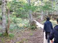 【北海道】世界自然遺産の知床の事を知っとこう！！