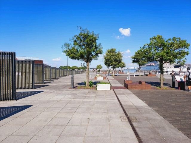 A nice park by the sea at Yokohama, Zou no Hana seaside Park