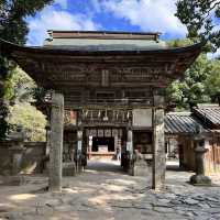 日本獨旅18天Day4糸島+能古島